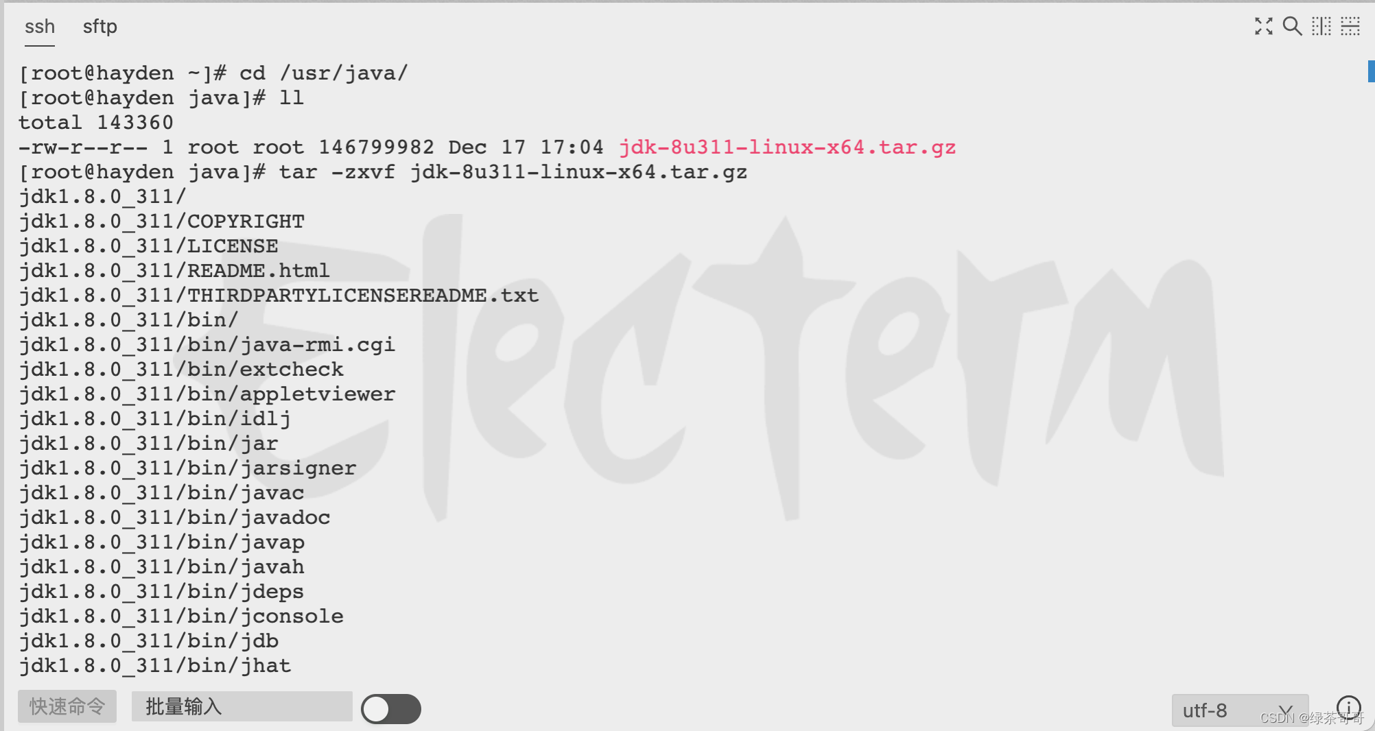在这里插入图片描述